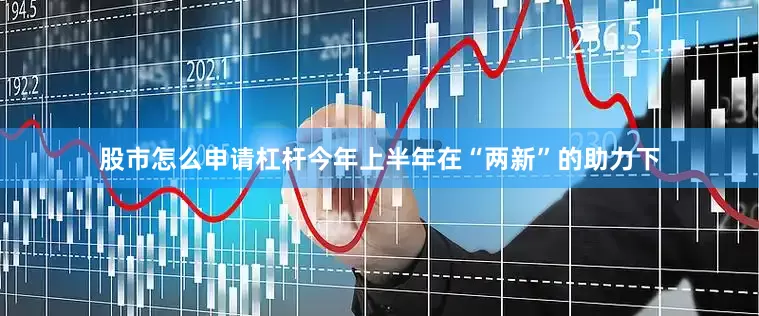 股市怎么申请杠杆今年上半年在“两新”的助力下