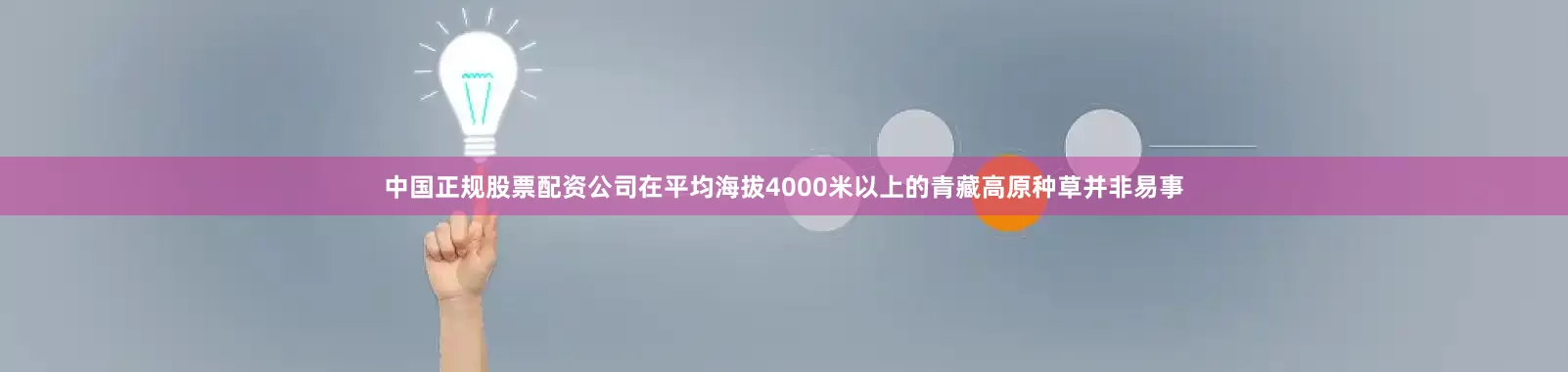 中国正规股票配资公司在平均海拔4000米以上的青藏高原种草并非易事