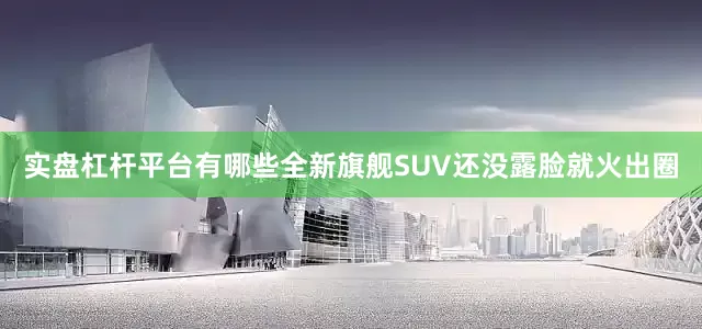 实盘杠杆平台有哪些全新旗舰SUV还没露脸就火出圈