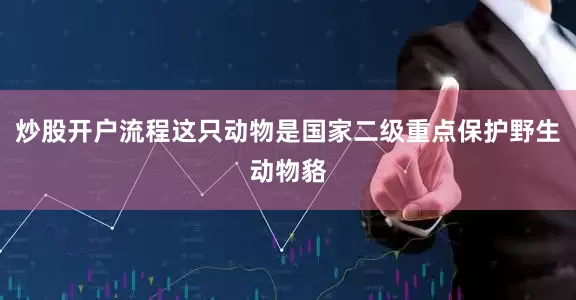 炒股开户流程这只动物是国家二级重点保护野生动物貉